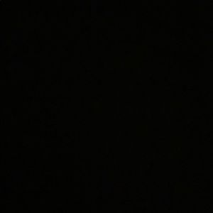 Meet your Posher, Elana (me)